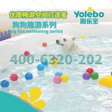 江西上饒家樂寵物用品廠 專注寵物牽引帶與專業寵物服務