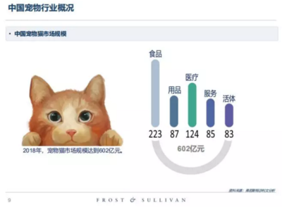 高收入、高學歷的單身人群，養(yǎng)寵前請先算清這筆賬